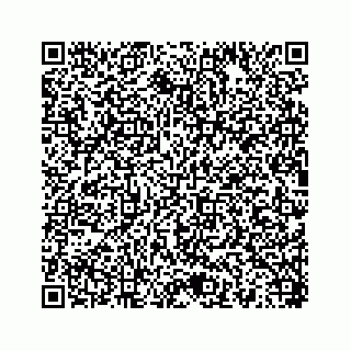 vCard 78454540289