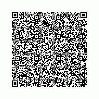 vCard 78454540293