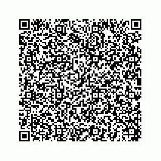 vCard 78454540295