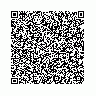 vCard 78454540300