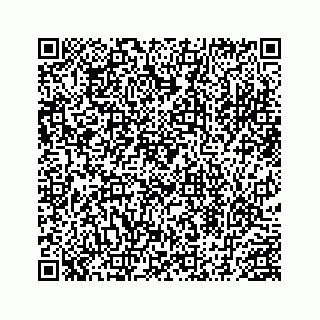 vCard 78454540303