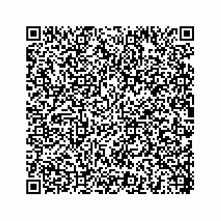 vCard 78454540307