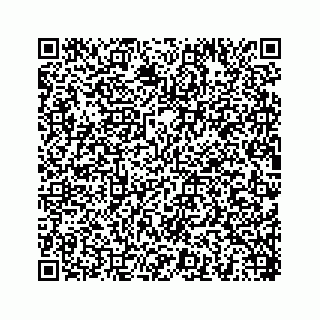 vCard 78454540308