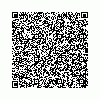 vCard 78454540317