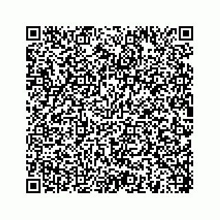 vCard 78454540329