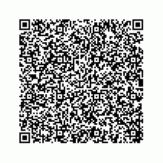 vCard 78454540331