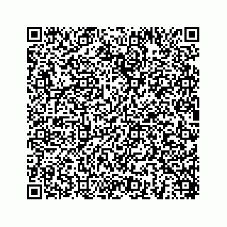 vCard 78454540334