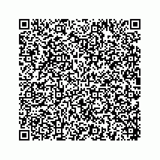 vCard 78454540337