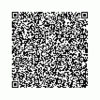vCard 78454540370