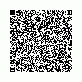 vCard 78454540379