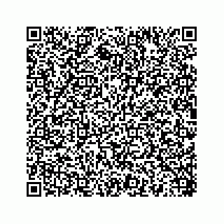 vCard 78454540380