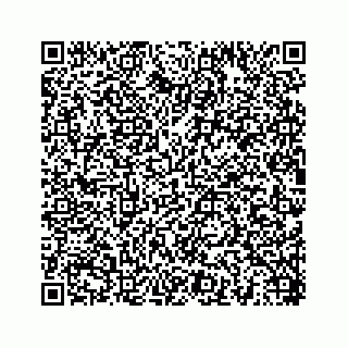 vCard 78454540381