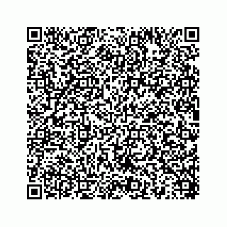 vCard 78454540382