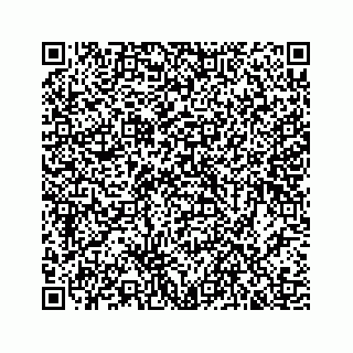 vCard 78454540383