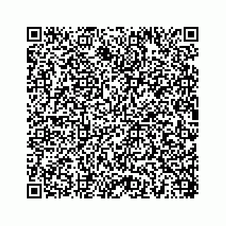 vCard 78454540385