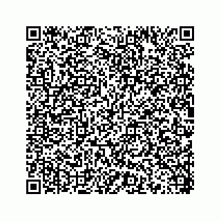 vCard 78454540387