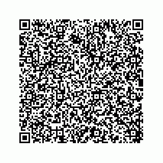 vCard 78454540388