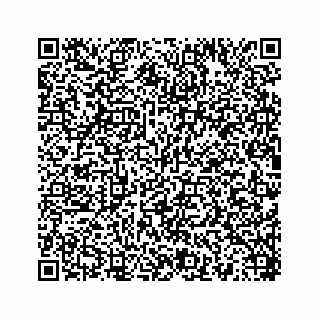 vCard 78454540389