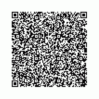 vCard 78454540393