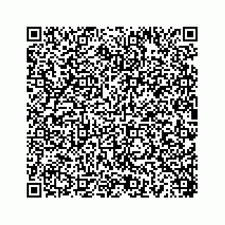 vCard 78454540397