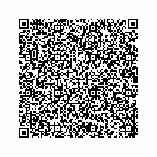 vCard 78454540399