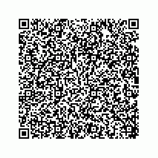 vCard 78454573001