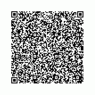vCard 78454573004