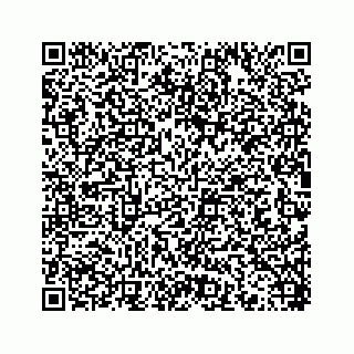 vCard 78454573005