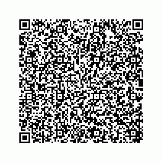 vCard 78454573008
