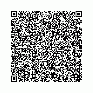 vCard 78454573009