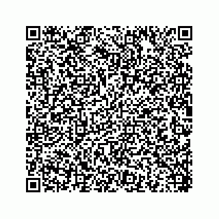 vCard 78454573011
