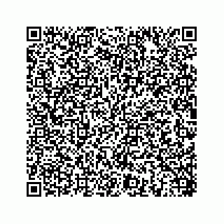 vCard 78454573030