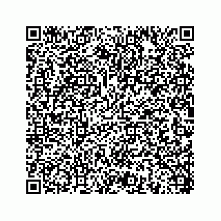vCard 78454573032