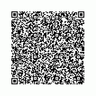 vCard 78454573040