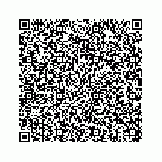 vCard 78454573041