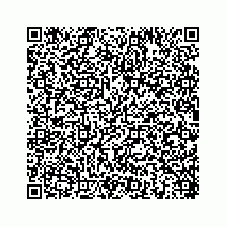 vCard 78454596321