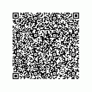 vCard 78454598009