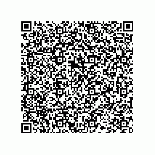 vCard 78454598379