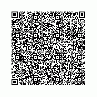 vCard 78454841100
