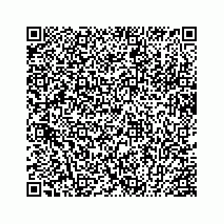 vCard 78454841103