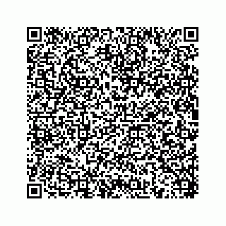 vCard 78454943739