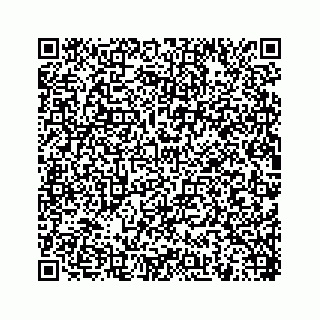 vCard 78454944729