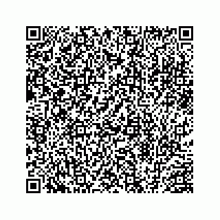vCard 78454945313