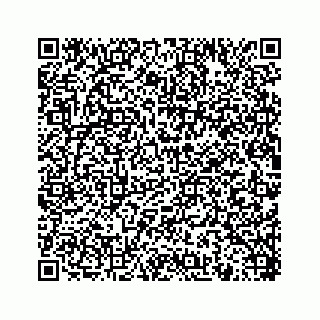 vCard 78454945329