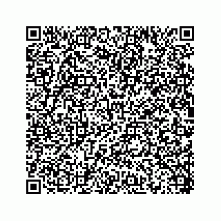 vCard 78454945380