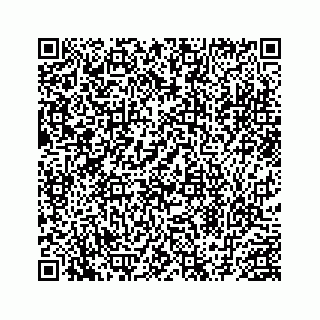 vCard 78454945381