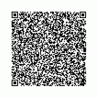 vCard 78454945383