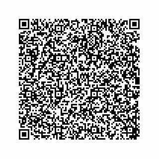 vCard 78454945399