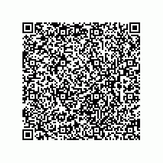 vCard 78462000332