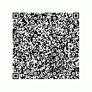 vCard 78462110041